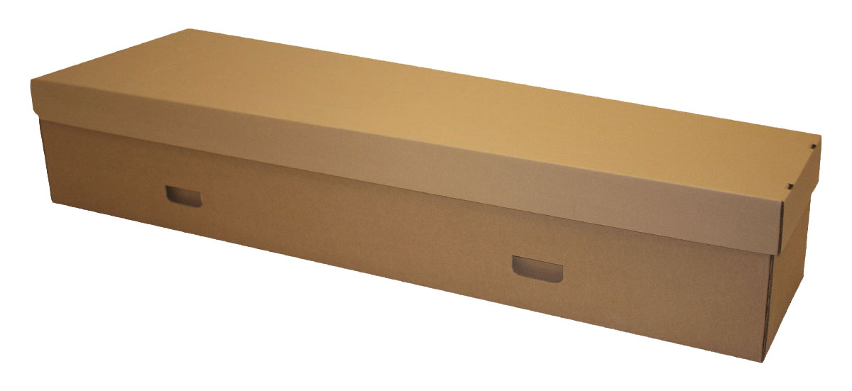 Simple handleless cardboard coffin