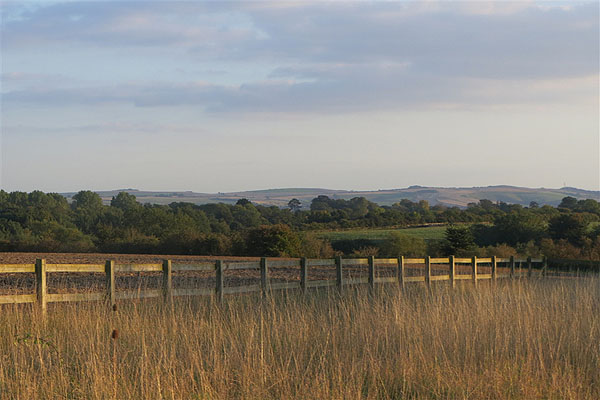 Westmill Woodland Burial Ground