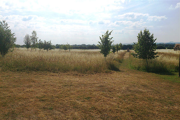 Westmill Woodland Burial Ground