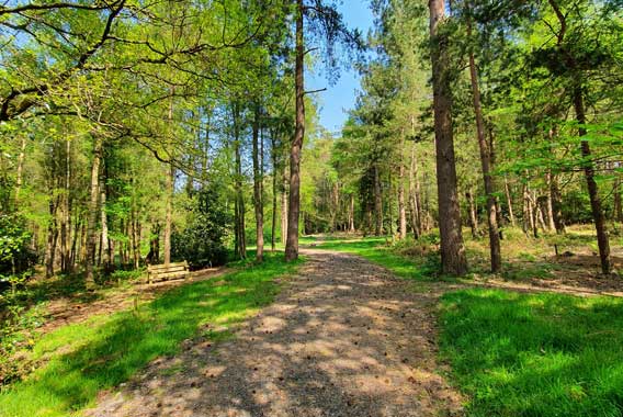 greenacres-heatherley-wood-3-568x380px GreenAcres Heatherley Wood