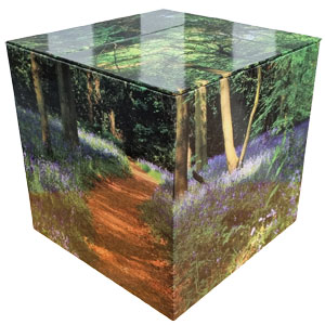 Bluebell Woodland BurialPod