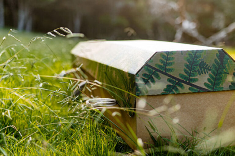 Outside the Box cardboard coffin