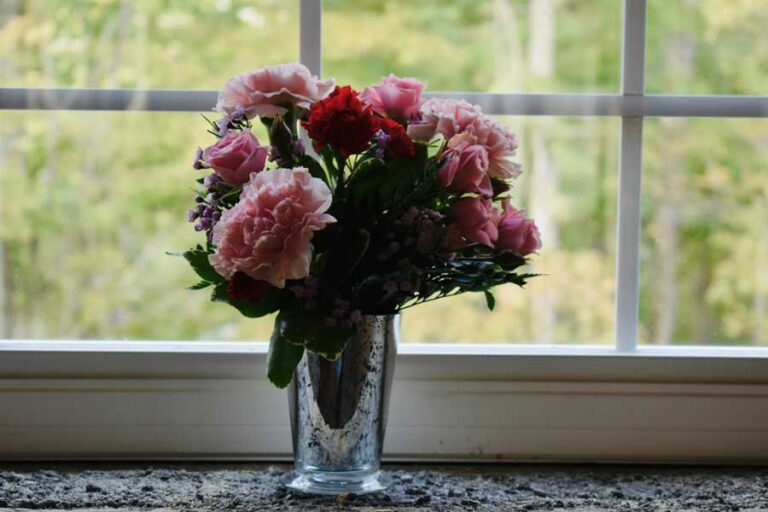 Flowers on a windowsill